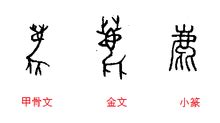 鹿 字|鹿《汉字字源》